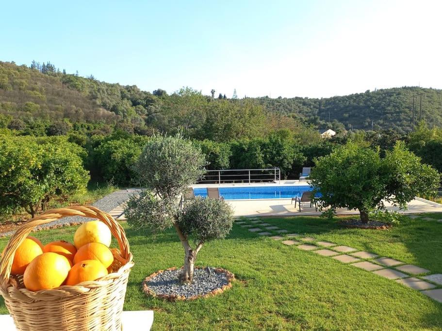 Casa Citrus Limao - Between The Hills & The Ocean 실베스 외부 사진