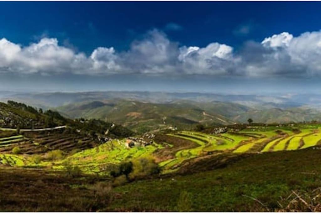 Casa Citrus Limao - Between The Hills & The Ocean 실베스 외부 사진